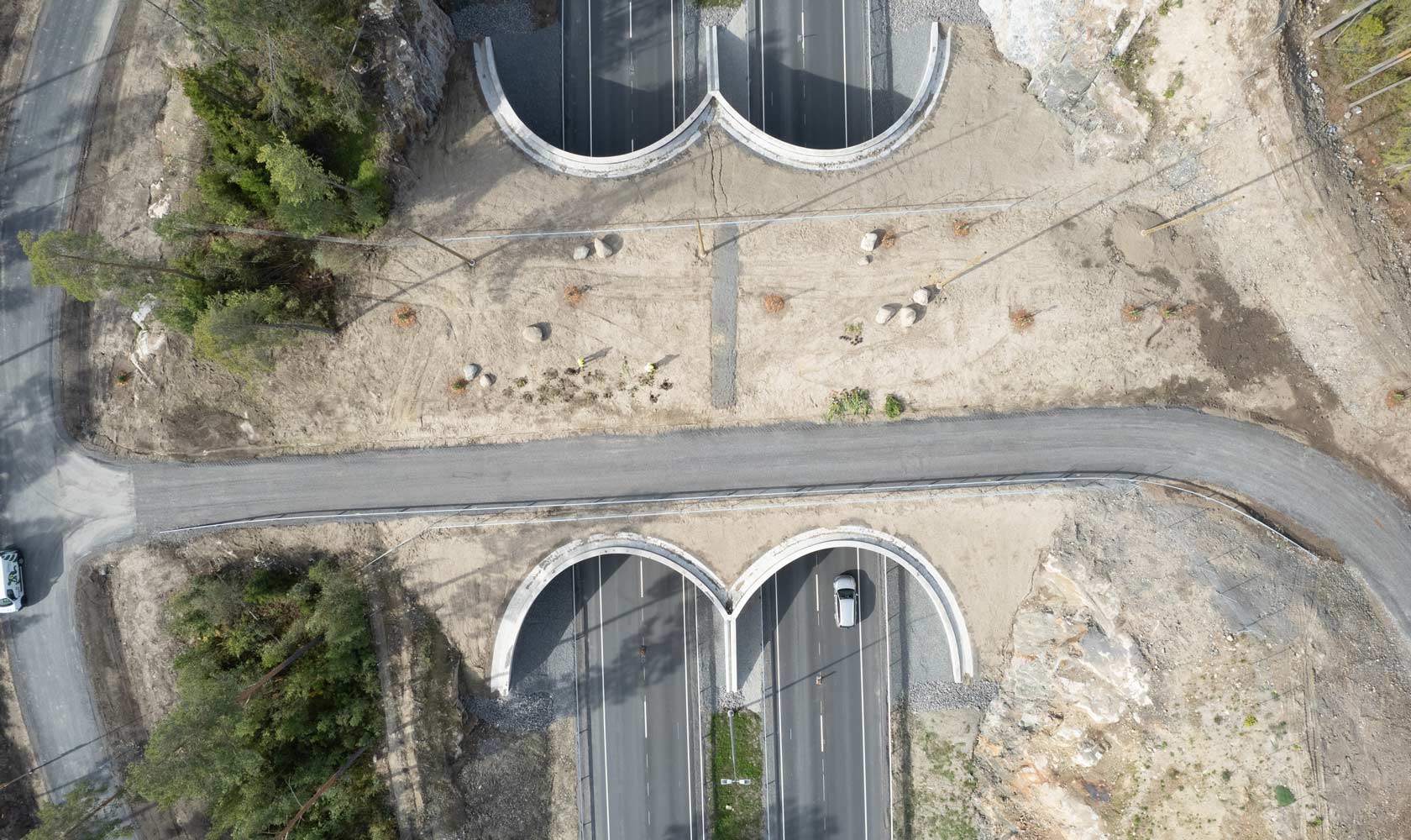 An aerial view of a forest intersection featuring two large curved bridges.