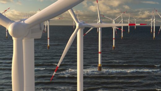 Protection of aquatic nature in offshore wind energy project