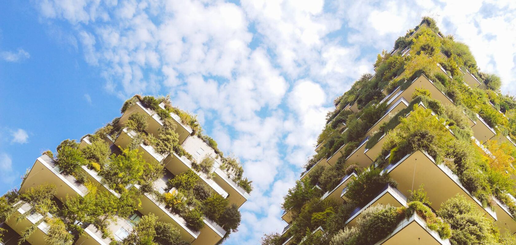 Selvitys: Vapaaehtoisten hiilimarkkinoiden kehityssuunnat ovat vaikutuksiltaan Suomelle pääosin positiivisia