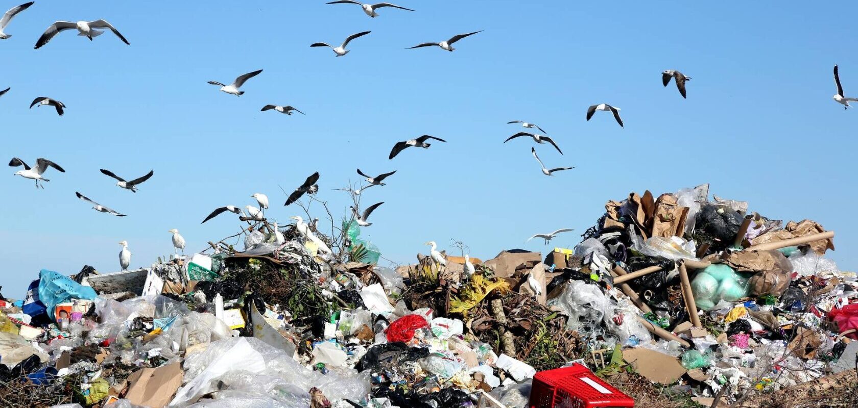 Sustainable growth from circular economy. Image represents landfill and waste.