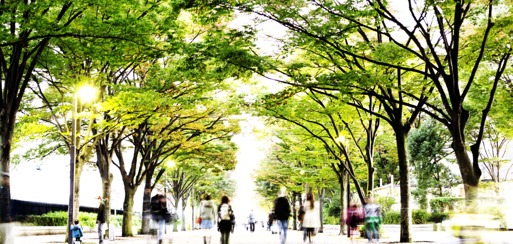 A tree-lined pathway with people walking along it. The trees have green leaves, and the pathway is covered with fallen leaves. There are streetlights along the path, and the scene appears bright and lively with a lot of movement from the people