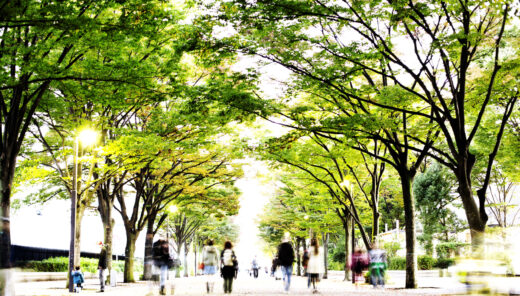 A tree-lined pathway with people walking along it. The trees have green leaves, and the pathway is covered with fallen leaves. There are streetlights along the path, and the scene appears bright and lively with a lot of movement from the people