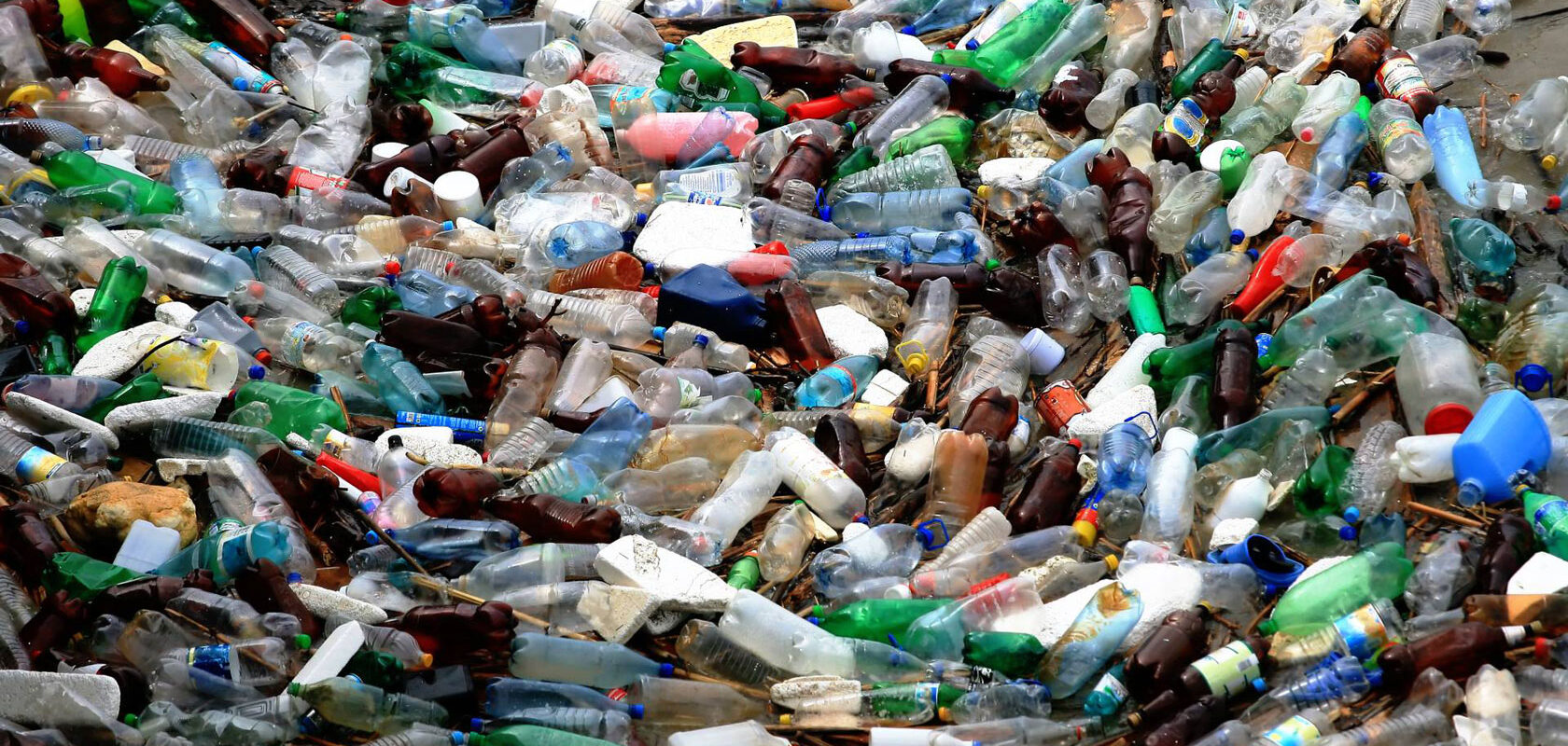 Various coloursful plastic bottles and containers in an recycling bin.