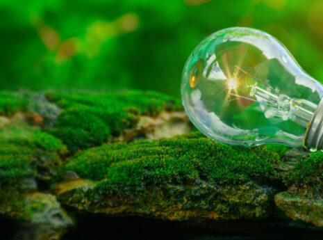 A light bulb lying on a moss-covered surface with a green, blurred natural background