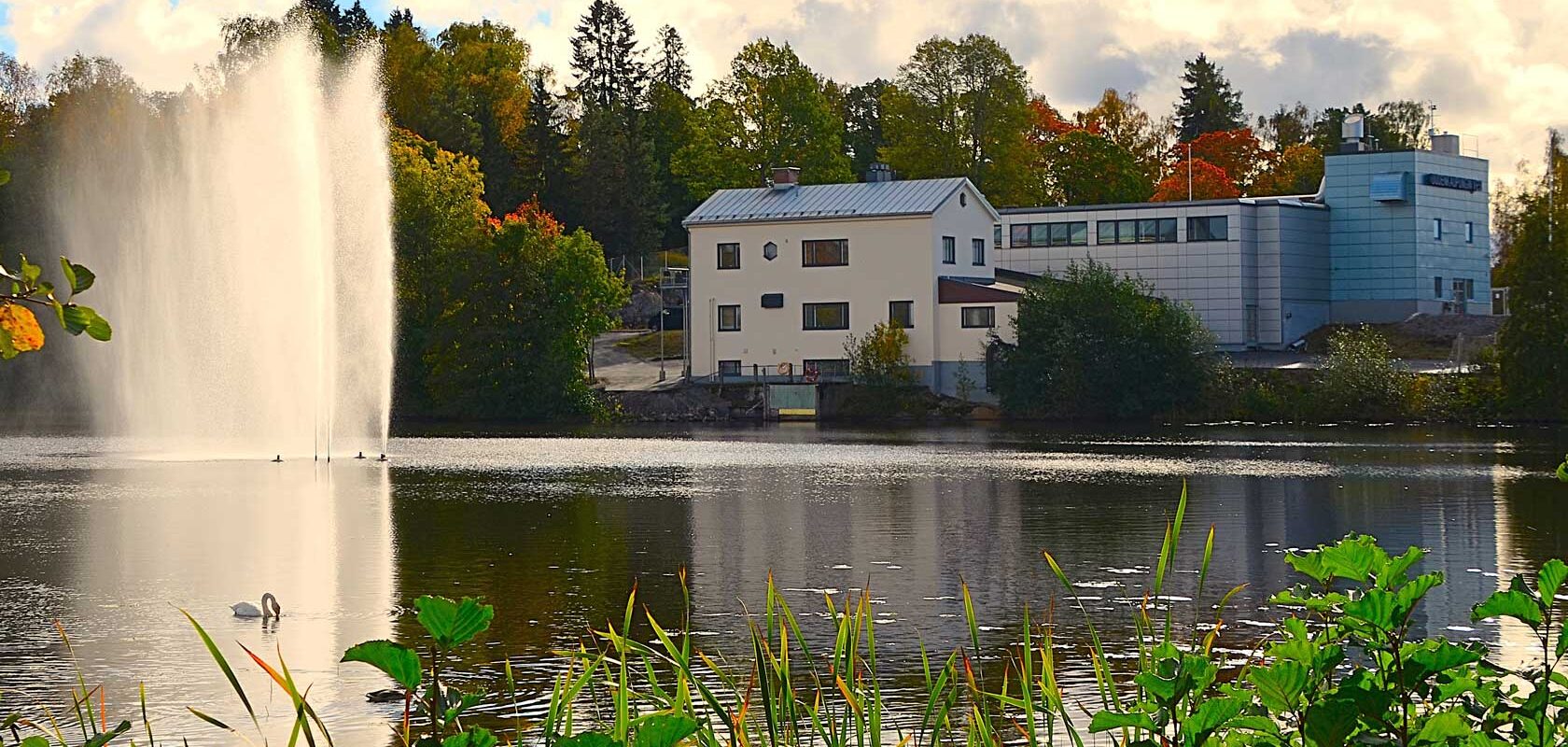 Water fountain and swan on a serene lake with buildings and autumn trees in the background.
