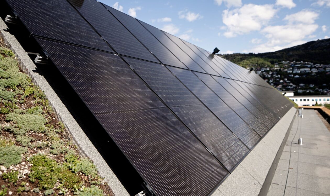 Aurinkopaneelit rakennuksen katolla, kallistettuina kohti aurinkoa. Vasemmassa alakulmassa vihreää kasvillisuutta, taustalla kaupunkimaisema ja mäkinen maasto.