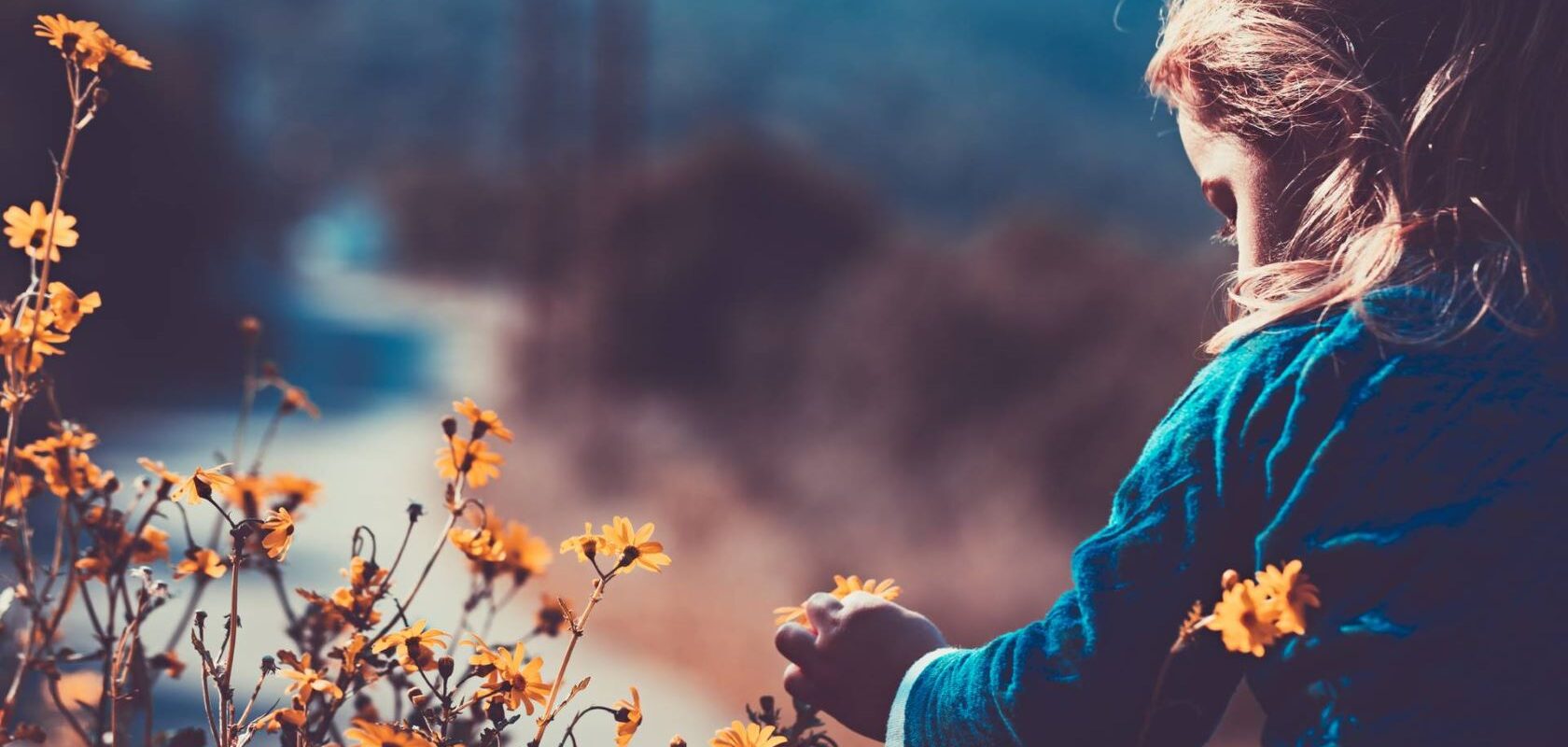 Etualalla vasemmalla oransseja niittykukkia, oikeassa etureunassa selin oleva lapsi tutkii kukkia, taustalla oleva ympäristö rusehtavan sininen, tarkentamaton.