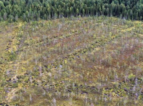 Ilmakuvassa näkyy suon ennallistettuja ojalinjoja.