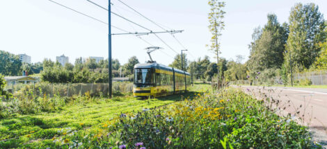 Keltainen raitiovaunu vihreällä nurmikkoalueella, taustalla taloja ja puita.