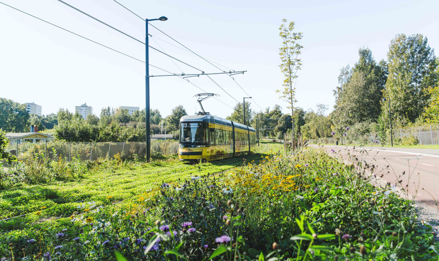 Keltainen raitiovaunu vihreällä nurmikkoalueella, taustalla taloja ja puita.