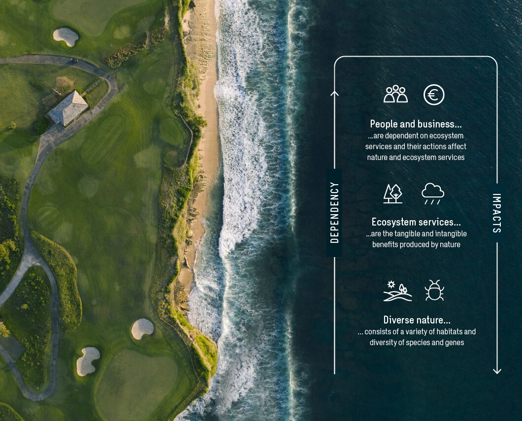 An aerial image of a sea cost line, grassy field on left, sea on right. Graph on the image shows biodiversity dependency vs. impacts between nature, ecosystems and people. Text on the image says: Diverse nature consists of variety of habitats and diversity of species and genes, Ecosystem services are the tangible and intangible benefits produced by nature, People and business are dependent on ecosystem services and their actions affect nature and ecosystem services.