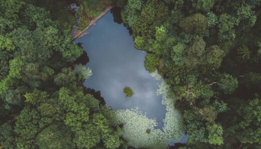 Aerial image of a small lake in a leafy forest.