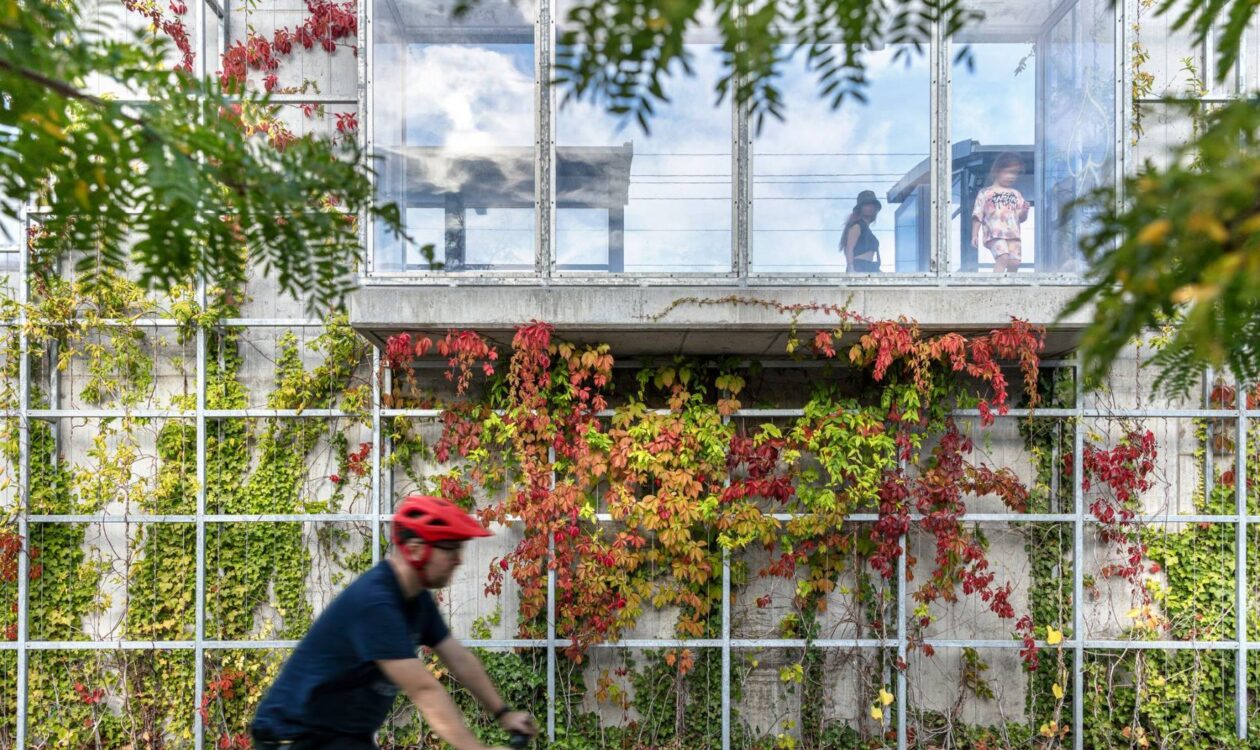 A man is cycling in front of a concrete wall by a train station. Ivy grows on the wall, and at the top there is a glass window from which you can see children on the pier.