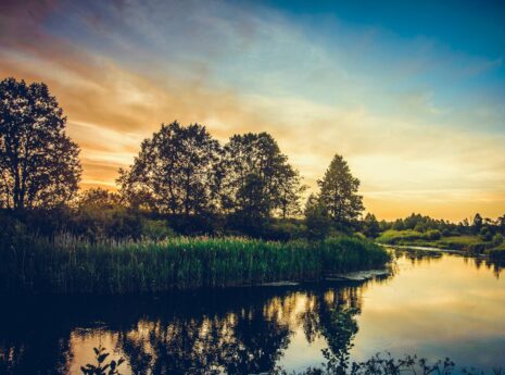 Landscape in the evening sun, picture from the lake towards the shore, deciduous trees on the shore.