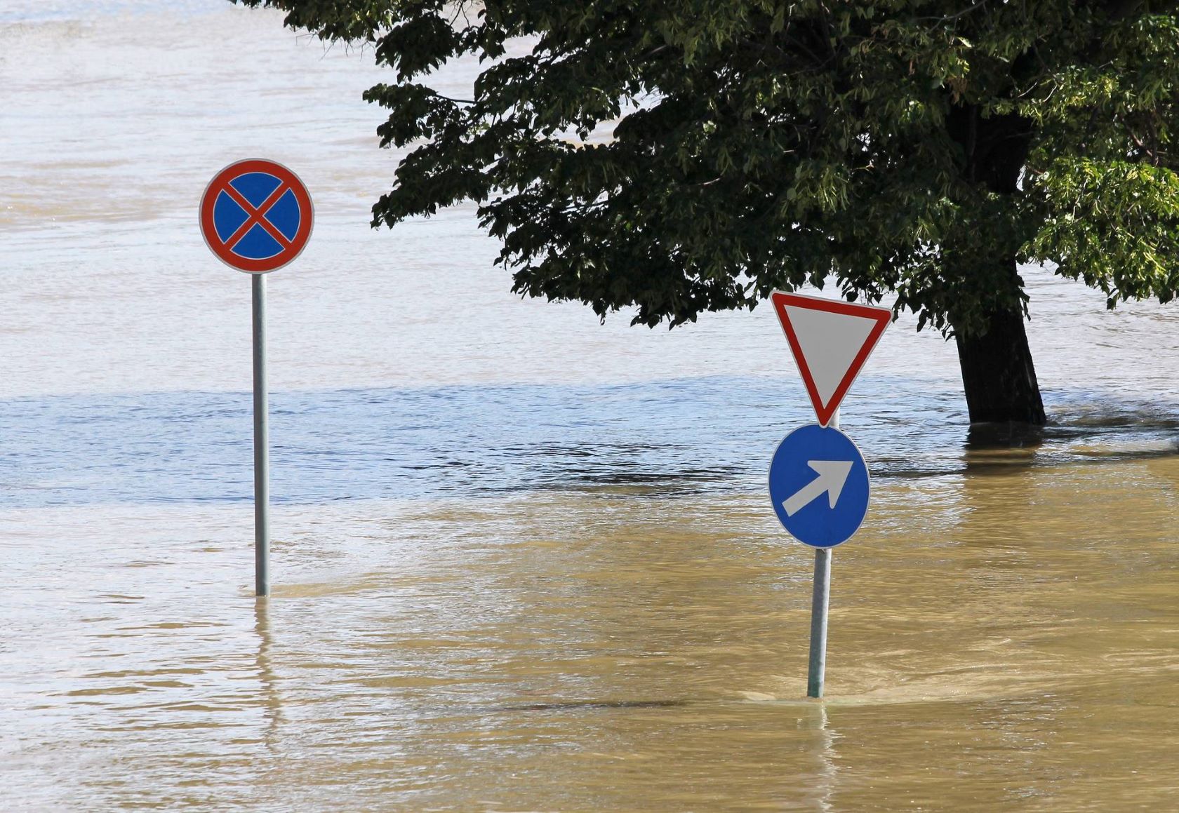 Two traffic sign poles and a leafy tree standing in a flood