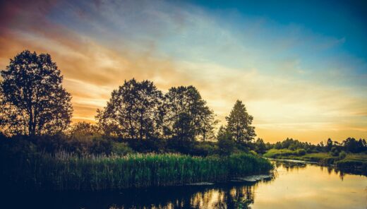 Maisema ilta-auringon kajossa, kuva järveltä rantaan päin, rannassa lehtipuita.