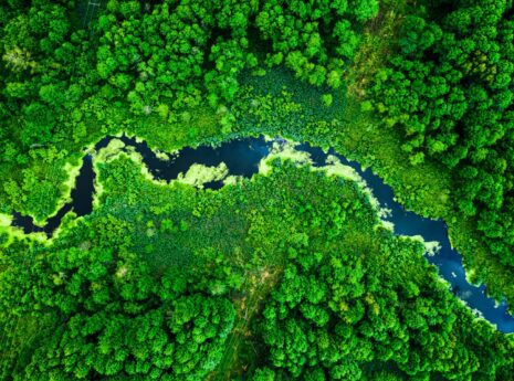 Ilmakuva mutkittelevasta joesta tiheän vihreän metsän keskellä