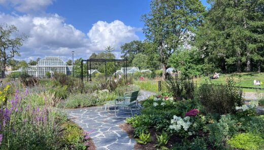 Botanical garden with flower beds, glass greenhouses and benches under blue sky