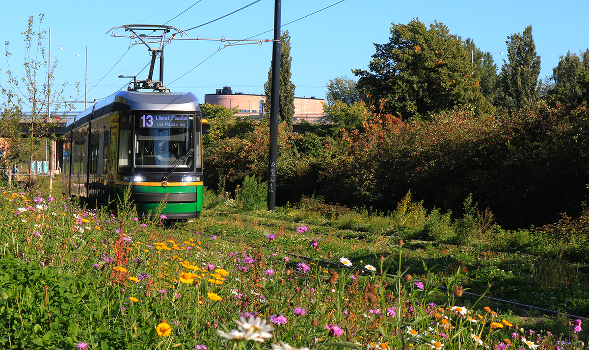 Green city tram passing through wildflower meadow and trees on a sunny summer day.