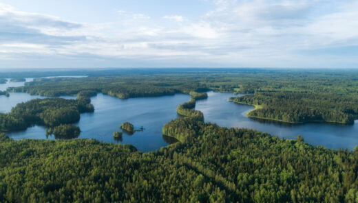 Ilmakuva suomalaisesta järvistä metsämaisemassa.