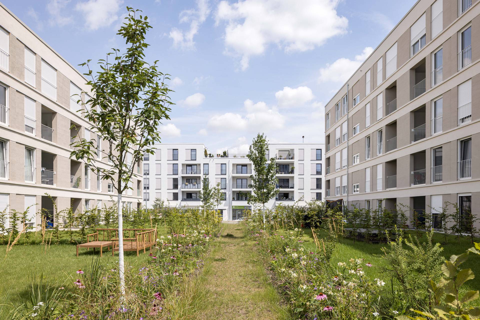 A lush inner courtyard surrounded by modern apartment buildings, featuring trees, flowers, and meadow vegetation. A pathway runs through the center of the courtyard, and wooden benches are placed on the lawn for relaxation. In the background, light-coloured residential buildings can be seen beneath a blue sky with scattered clouds.