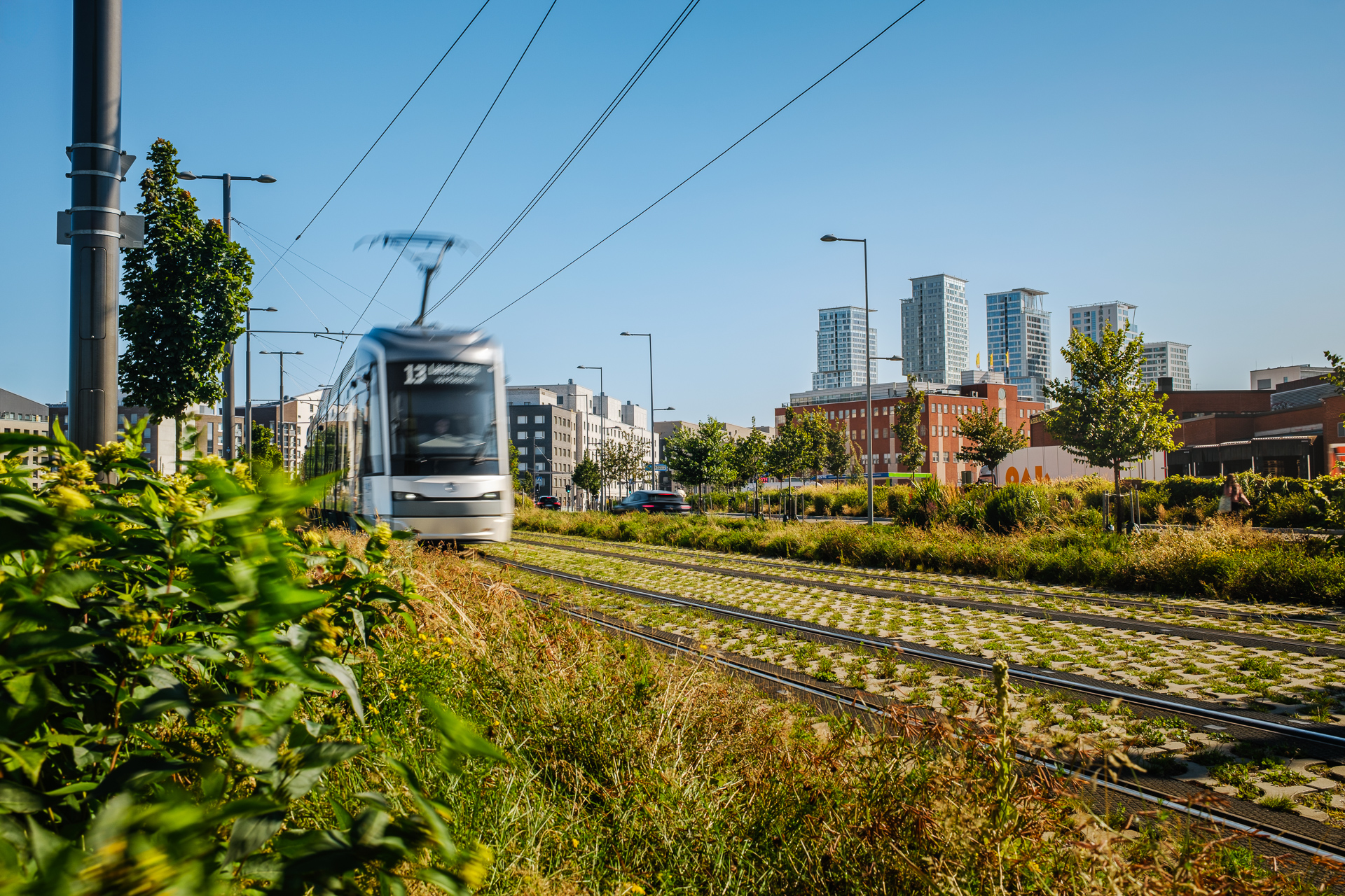 A tram travels along grass-covered tracks in a modern urban environment. Trees and other greenery line the tramway, while residential and commercial buildings, along with tall high-rise towers, can be seen in the background beneath a bright blue sky.