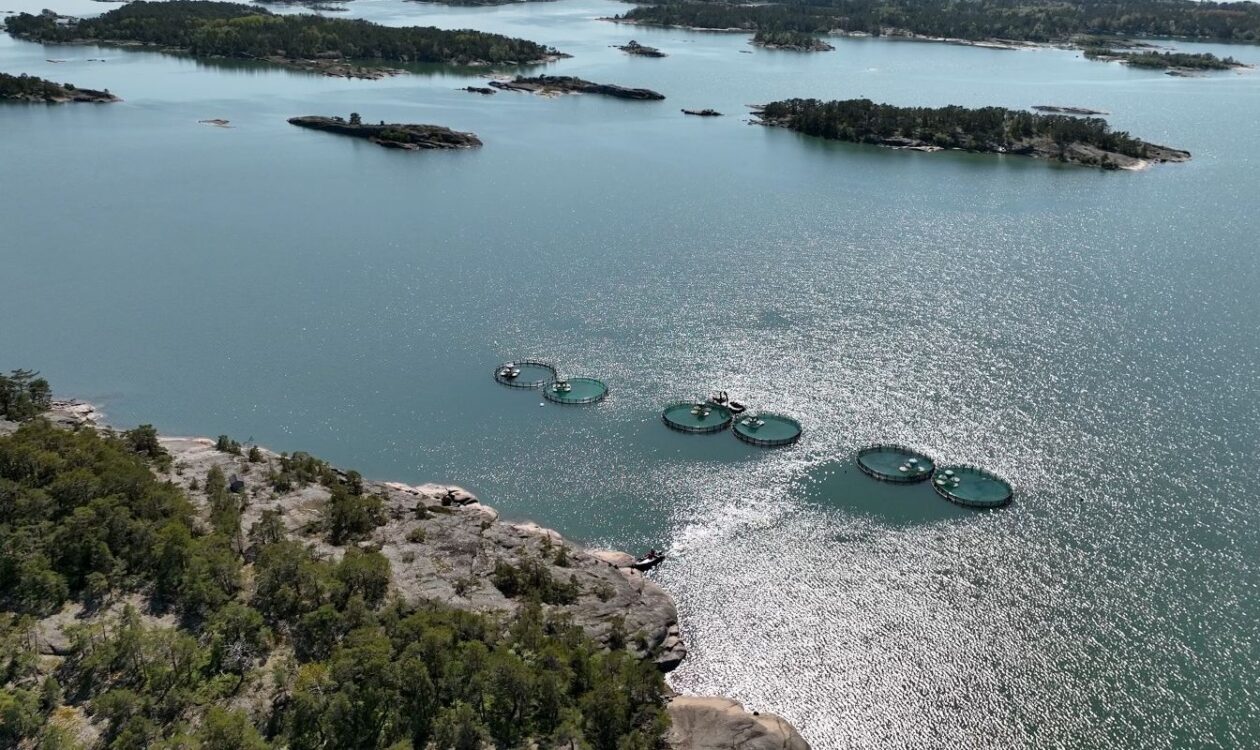 Ilmakuva kolmesta kalanviljelyaltaasta meren rannalla.