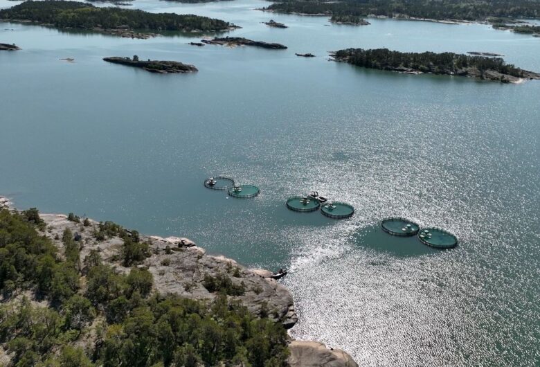 Ilmakuva kolmesta kalanviljelyaltaasta meren rannalla.