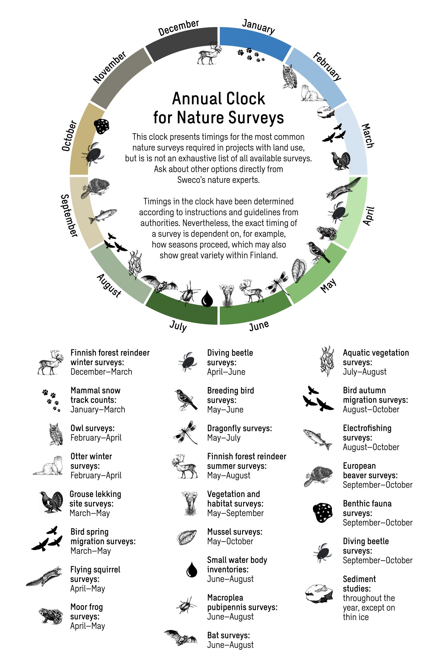 An infographic illustrating the annual cycle of nature surveys, showing which plant and animal species can be surveyed at different times of the year, and which survey methods, such as wildlife track identification, can be used in each month.