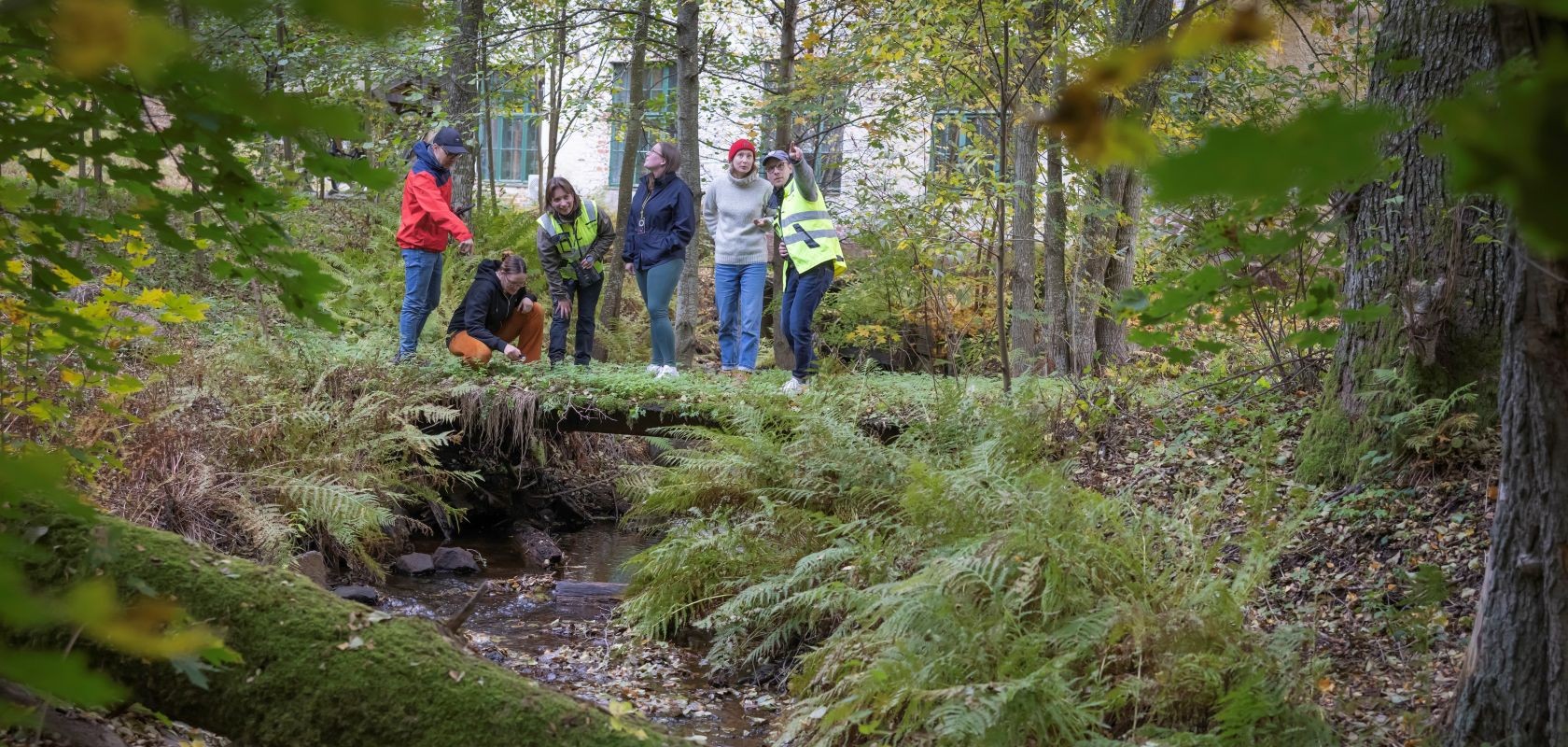 Six experts conducting nature surveys stand in a row among ferns and deciduous trees beside a stream. They are dressed in outdoor clothing; two are crouching while the others are standing. In the background, part of an old building wall is visible through the trees.