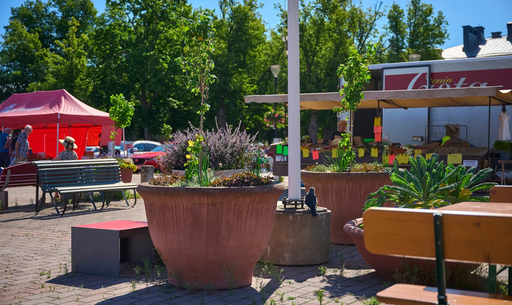 Outdoor farmers market plaza with benches and large planters on a sunny day.