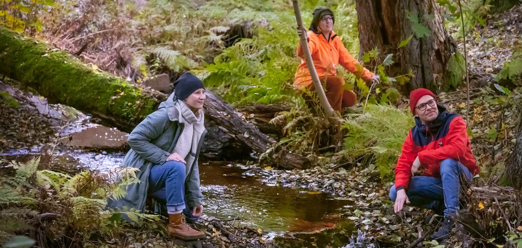 Three hikers by a forest stream in autumn, exploring nature by the water.